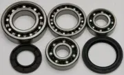 All Balls Racing Differential Bearing and Seal Kit Rear 25-2017