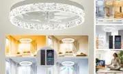 Low Profile Ceiling Fans with Lights and Remote, 20 inches LED Ceiling Fan