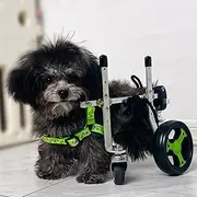 PP-Kic Dog Wheelchair 4 Wheel Dog Cart, Adjustable Pet Wheelchair, Dog Rehabilitation Support Cart Help Pets Stand, Protect Chest Pet Rehabilitation Mobile Cart,L