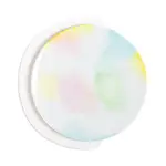 Non Sans Raison Sorbet Dinner Plate