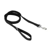 Dog Bungee Lead