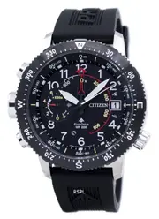 Citizen Promaster Altimeter Altitude Electronic Compass Eco-Drive Power Reserve BN4044-15E Men's Watch
