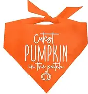 Cutest Pumpkin in The Patch Fall Pumpkin Picking Dog Bandana (Orange, OS 1122)