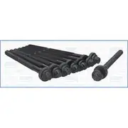 Austral Cylinder Head Bolt Set - 81049700