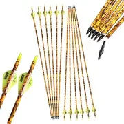 ZSHJGJR 32 Inch Archery Mix Carbon Arrows Hunting Arrows with 100 Grain Removable Tips 600 Spine for Compound Bow Recurve Bow Practice Shooting Pack of 6/12