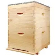8 Frame Beekeeping Beehive Package Premium Grade