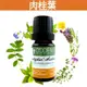 《歐丹尼》【肉桂葉純精油10ml-50ml】Cinnamon Leaf優質單方純精油系列