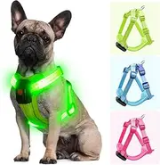 Visiklit Light Up Dog Harness for Small Dogs Rechargeable, LED Dog Vest Harness, Adjustable Illuminated Glow in Dark Dog Harness for Puppy Night Safety Walking 360° True Illumination-Green