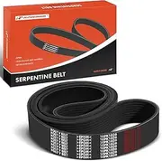 Engine Serpentine Drive Belt Compatible with International Harvester 9900i 2003, 9200i SBA 2000-2002 & Mack CTP 2007, 10.8L 14.9L 15.0L, DIESEL