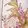 Mirrored Floral Viscose Linen Mini Dress (floral)