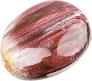Healing Gemstone Therapy Worry Crystal Stones for Meditation Chakra Balancing Collection, Irregular Shape Natural Banded Agate Palm Stones (Color : Petrified Wood)
