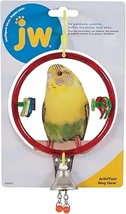 JW Pet 31051 Insight Ring Clear Bird Toy, Assorted, Small