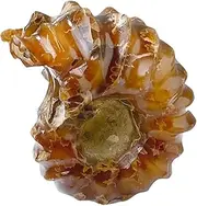 BELLIFFY Snail Table Decor Conch Shaped Decor Delicate Stone Decor Desk Decoration Office Desk Decor Natural Conch Sea Shell Heart Decor Home Decor Desktop Adornment Crystal Stone