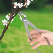 Garden Branch Cutter Forged Steel Round Edge Scissors Garden Tree Cutter NJL
