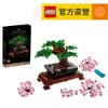 【LEGO樂高】Icons 10281 盆栽(植物盆栽 居家擺設)