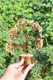 100 % Pure Copper Tree Feng Shui Tree of Life for Luck Success and Manifestation