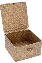 Hipiwe Wicker Shelf Baskets Bin with Lid Handwoven Seagrass Small, Coffee, S21