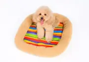 Anti-slip Bottom Colorful Canvas Padded Pet Bolster Bed Kennel Crate Carrier Mat