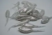 JASONS 2" FOOTBALL SHAD 30 PACK GRUBS CRAPPIE LURES JIGS PEARL PEPPER