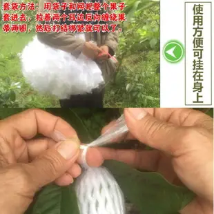 【應有盡有咨詢客服】水果網套袋 番石榴防蟲袋 一體袋 水果保護袋 芭樂番石榴套袋 泡沫袋包 100-3000套