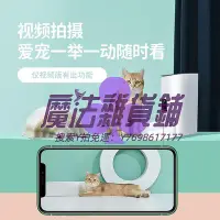 在飛比找Yahoo!奇摩拍賣優惠-自動餵食器【大型犬用】玲瓏貓寵物智能自動喂食器貓狗糧定時定量