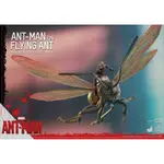 HOT TOYS MMSC003 ANT-MAN 蟻人 - 迷你蟻人 WITH 飛蟻