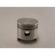 Austral Piston Set - PO900 STD