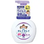 『現貨』日本 獅王 LION 趣淨抗菌洗手液 果香洗手慕斯 250ML 2款