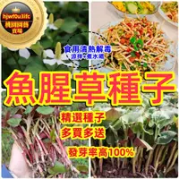 在飛比找蝦皮購物優惠-🔥🔥【蝦皮熱銷】魚腥草種子 涼拌折耳根菜 紅莖業魚腥草種子折