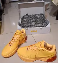 在飛比找Yahoo!奇摩拍賣優惠-US12.  NIKE LEBRON XXI EP 21 M