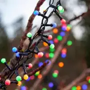 Eglo 300 LED Multi Colour Berry Fairy Lights