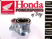 NEW HONDA OEM CYLINDER 2009-25 TRX420 RANCHER *ALL MODELS* *12100-HP7-A00 *