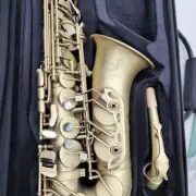 Antique Frosted Gold Alto Saxophone Professional Performance Sax Instrument