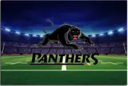 NRL Penrith Panthers Rugby League Flag Pole Shaft Style