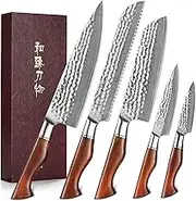 HEZHEN Kitchen Knife Set- 5PCS,Sharp Pro Boxed Knives Sets, Premium Damascus Powder Steel Forged Damascus Hammered Knife Set, Natural Rosewood Handle,Cooking Tools