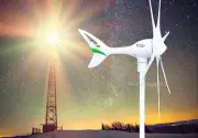 Apollo 550W 24 V DC Wind Turbine Generator For Land/Marine Use ( 6 Blades)