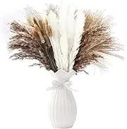 Natural Dried Pampas Grass Bouquet,72 Pcs Fluffy Pampas Grass Decor Artificial Pampas Grass Home Decor Phragmites Dried Flowers Fluffy and Swinging DIY Boho Plant for Floral Arrangements Decorations