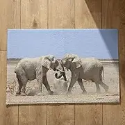 Extra Large Doormats Inside Washable Dirt Trapper Runner Elephant Outside Outdoor Foot Mat 40x60cm, Non-Slip Plush Cotton Decor