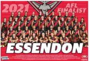 Essendon bombers TEAM Photo,AFL football,swans,PIEs ,blues ,crows,books,dockers