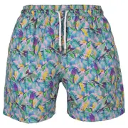 Macaws Boardshorts