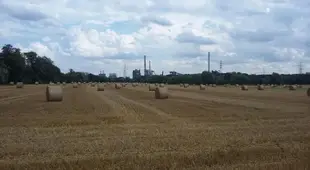 Gluck Auf! Urlaub und Erholung in Duisburg