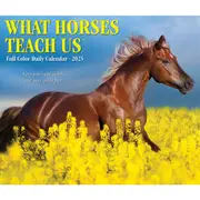2025 What Horses Teach Us Page-A-Day Calendar