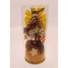Wasp Nest Hornet Bees Rhinoceros Beetle Cicada Skin Oddity Jar flowers taxidermy