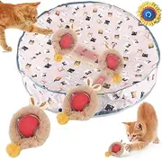 Interactive Cat Toys - Automatic Fast Rolling Ball in Play Mat, Motion Activated Moving Ball Hide and Seek Game for Indoor Exercise Kicker, Seek Mouse Catching Game, Cat Enrichment Toys