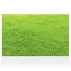 Home Decor Wall Sign Green Grass Style F Art Picture Frame
