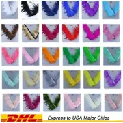 Wholesale*Rooster/Hen/Hackle/Chick Feather Fringe trim Fascinator Material*Ya