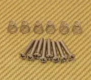 GS-0064-005 Stainless Steel Countersunk Pickup/Switch Screws/Springs For Strat