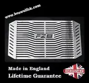 Yamaha FZ8, Fazer 8 (10-16) Beowulf Polished Radiator Guard - Made in UK Y026