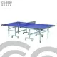 【1313健康館】Chanson強生牌 CS-6500型高級桌球桌（板厚22mm）