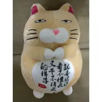 在飛比找蝦皮購物優惠-全新 台灣 現貨 臭跩貓 27*19公分 娃娃 玩偶 抱枕 